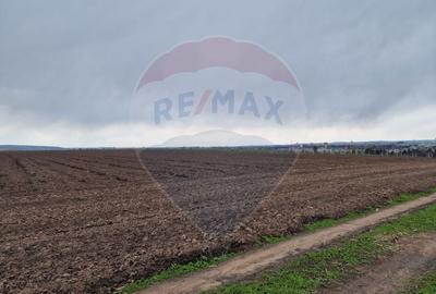 Teren 10,000mp Bacau / Strada Alexandru Safran - 16