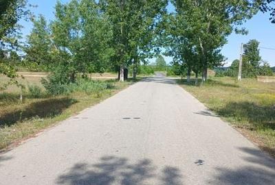 Teren de 750 mp, în Bratovoești - 2