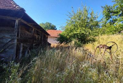 Casă în Târnăvița - 7