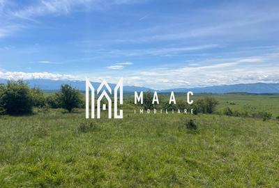 Teren agricol de 45200 mp, în Cașolț - 2