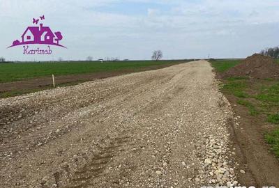 Teren industrial pentru hale - 4