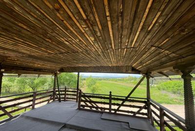 Teren *oportunitate investi?ie* Carbune?ti-Sat, la DN 67B - 7