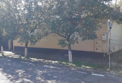 Casă cu 4 camere cu Teren 1329 Mp în Sântana - 3