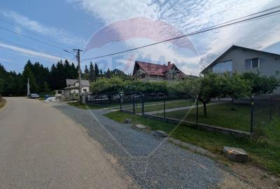 Teren intravilan de vanzare  2.444 mp - Targu Lapus - 4