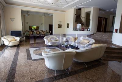 SNAGOV | VILA DE LUX CU 90M DESCHIDERE LA LAC | POZITIE EXCEPTIONALA - 25