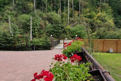 Casă cu 4 camere în Central - 2