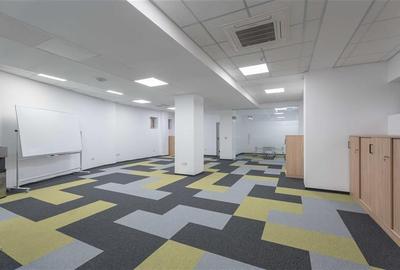 Podu Ros Jumbo Spatiu de Birouri Premium - 4