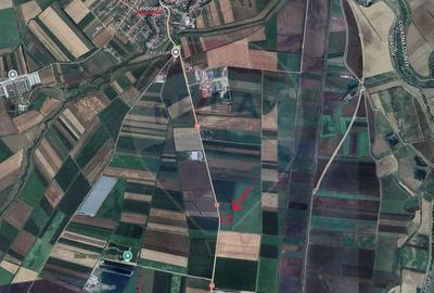 Teren agricol extravilan de 10000 mp, în Feldioara - 5