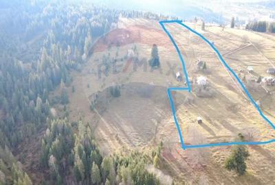 Teren INTRAVILAN 23.238m.p. Dorna-Arini / Cozanesti - 1