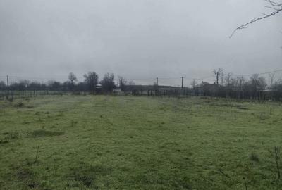 Teren de 2205 mp, în Cocora - 4