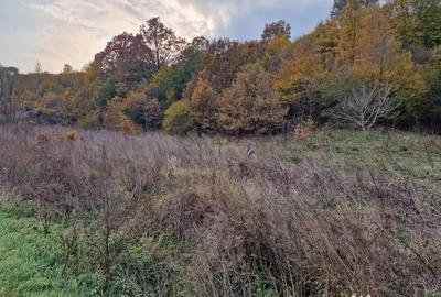 Teren de 1717 mp, în Mărgineni - 2