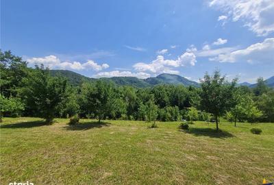 Spațiu comercial, în Cheile Râșnoavei - 20