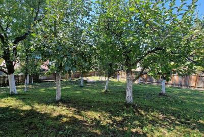 Vila spațioasă 5 dormitoare, Provita de Jos - 5