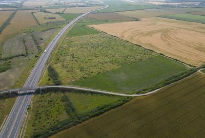 Teren 12 ha la Autostrada A1 cu PUZ aprobat Teren 12 ha la Autostrada A1 cu PUZ aprobat - 8