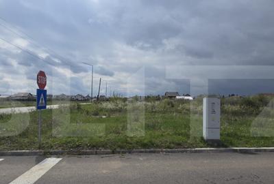 Teren intravilan, 5000 mp, 3 fronturi, zona Carcea, Hanul cu - 3