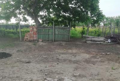 Casă cu 3 camere în Odobești - 1