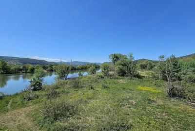 Teren de 12667 mp, în Șoimuș - 7