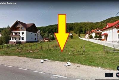 Vanzare 2920 mp teren intravilan in Cheia Prahova cu priveliste superba spre munti - 9