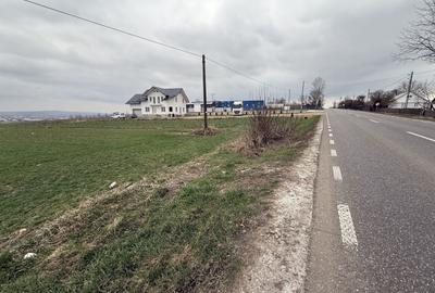 Teren Construcții intravilan de 3255 mp, în Grănicești - 2