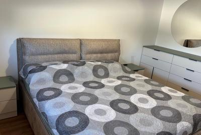 Apartament cu 4 camere decomandat, mobilat în Calea Plevnei - 12