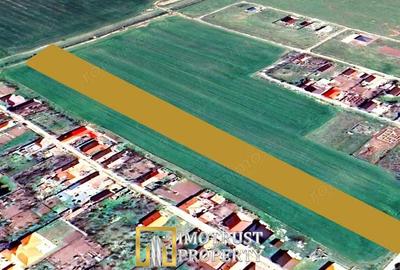 Teren de 7317 mp, în Zimandcuz - 4