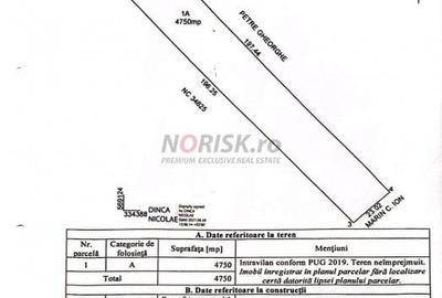 Teren Constructii Intravilan 4750mp SABARENI - 0% COMISION - 8