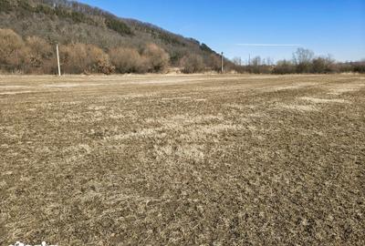 Teren de 2800 mp, în Turnu Roșu - 12