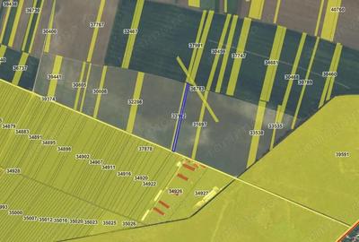 Teren extravilan Varvoru de Jos, jud Dolj - 3