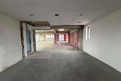 Proprietate specială, de 800 mp, în Theodor Pallady - 17