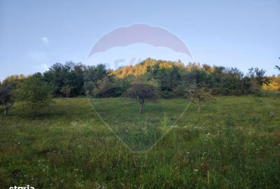 Spațiu comercial, în Bârsana - 2