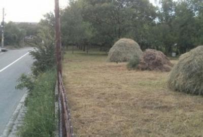 Casă cu 7 camere cu Teren 1500 Mp în Central - 2