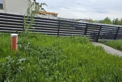 Casă cu 4 camere în Tamași - 3