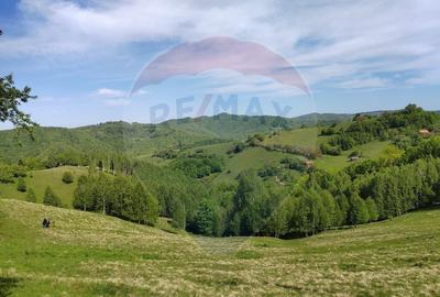 Teren 20,131 mp/Extravilan/Poiana Marului - 6