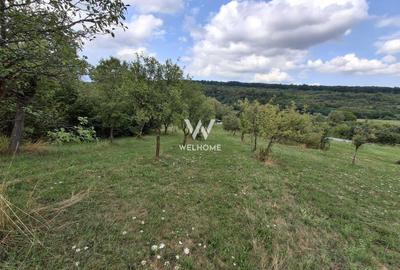 Teren agricol extravilan de 3223 mp, în Sibiel - 5