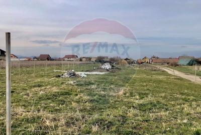 Teren Construcții intravilan de 700 mp, în Bod - 5