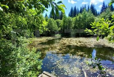 Casă cu 7 camere cu Teren 6060 Mp în Central - 2