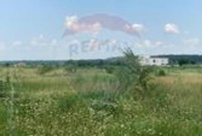 DE VANZARE Teren intravilan 600mp Drumul Piscul Mosului SISESTI - 16