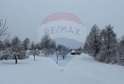 Teren în cea mai turistica localitate din Romania - Breb / Maramureș - 5