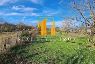 Casa cu teren generos 2.047 mp Podu Bro?teni, Arge? - 3