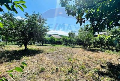 Casa cu Toate Utilitatile,Vedere Panoramica,Livada-Stefanesti, Arges - 31