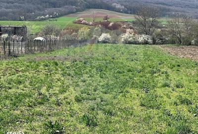 Teren de 4486 mp, în Iordăcheanu - 1