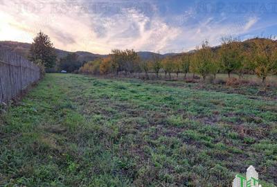 Teren de 1815 mp, în Măneciu - 3