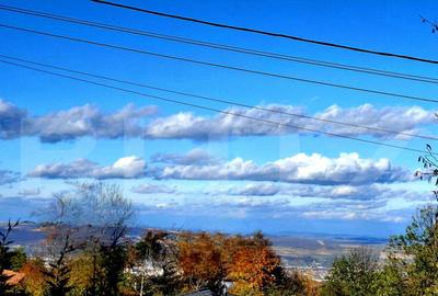 Teren de 725 mp, în Feleacu - 2