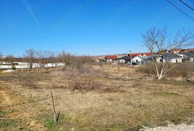 Teren de 647 mp, în Paleu - 10