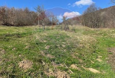 Teren agricol extravilan de 7495 mp, în Bârsana - 3