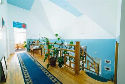 Complex industrial adecvat pentru productie (Gheorgheni,  str. Kossuth Lajos) - 10