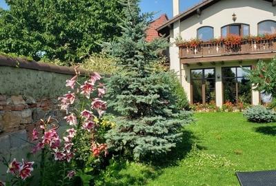Hotel  situat in Sanpetru, 27 camere + vila protocol, 2 piscine, teren tenis! - 3