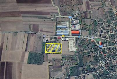 Teren de 21168 mp, în Plenița - 1