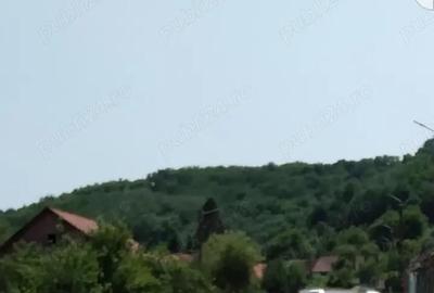 Casă cu 3 camere cu Teren 3000 Mp în Fârliug - 2