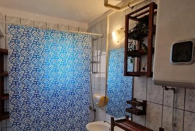 Aleea Castanilor - ap. 2 cam, confort 1, decomandat, mobilat si utilat complet - 3